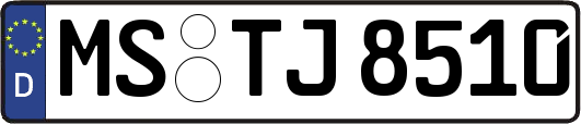 MS-TJ8510