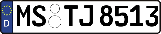 MS-TJ8513