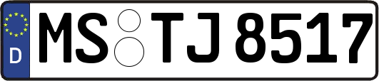 MS-TJ8517