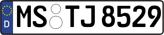 MS-TJ8529
