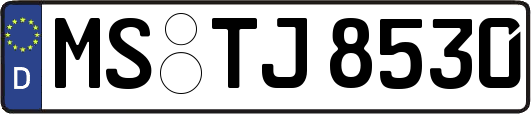 MS-TJ8530