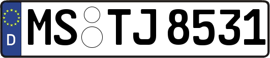 MS-TJ8531