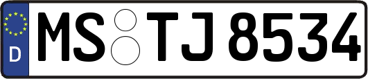 MS-TJ8534