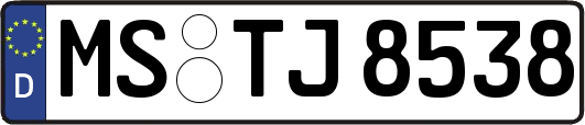 MS-TJ8538