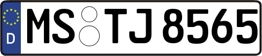 MS-TJ8565