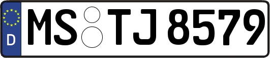 MS-TJ8579