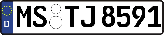 MS-TJ8591