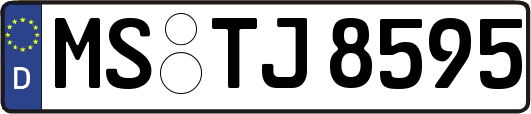 MS-TJ8595