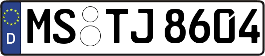 MS-TJ8604
