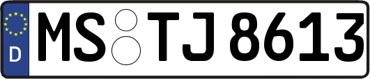MS-TJ8613