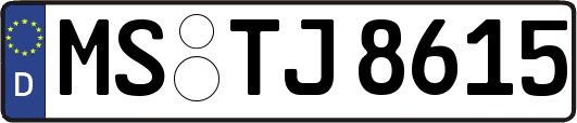 MS-TJ8615