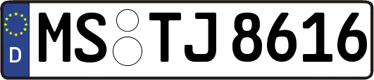 MS-TJ8616