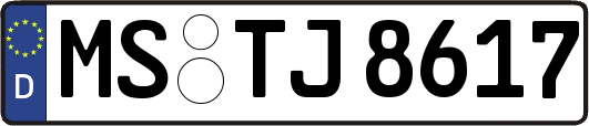 MS-TJ8617