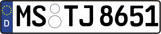 MS-TJ8651