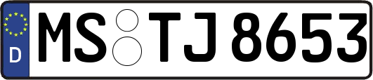 MS-TJ8653