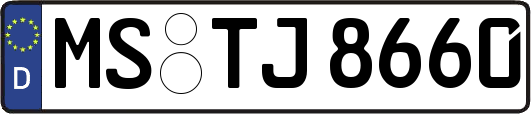 MS-TJ8660