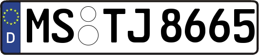 MS-TJ8665