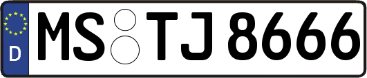 MS-TJ8666