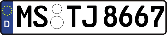 MS-TJ8667