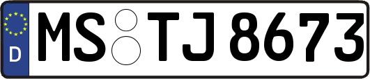 MS-TJ8673
