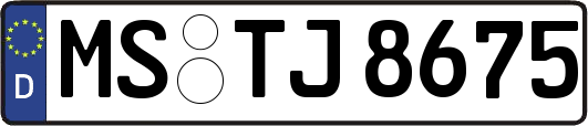 MS-TJ8675