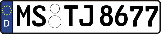 MS-TJ8677