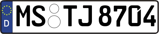 MS-TJ8704