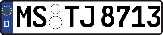 MS-TJ8713