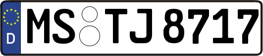 MS-TJ8717