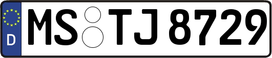 MS-TJ8729