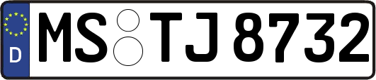 MS-TJ8732