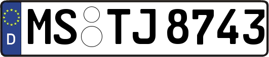 MS-TJ8743