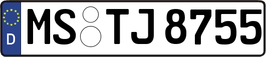 MS-TJ8755