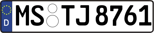 MS-TJ8761