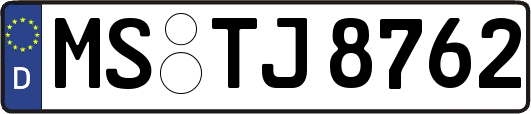 MS-TJ8762