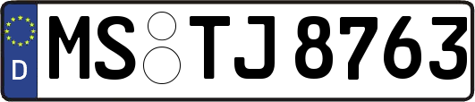 MS-TJ8763
