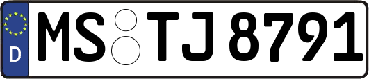 MS-TJ8791