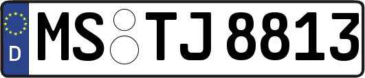 MS-TJ8813