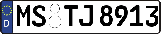MS-TJ8913