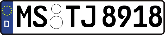 MS-TJ8918