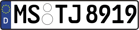 MS-TJ8919