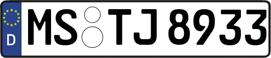 MS-TJ8933
