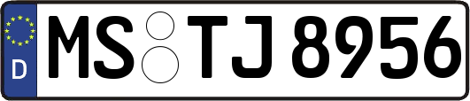 MS-TJ8956