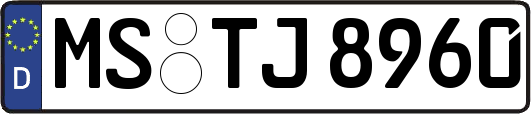 MS-TJ8960