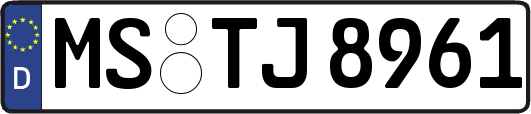 MS-TJ8961