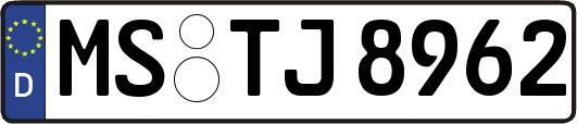 MS-TJ8962