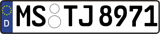 MS-TJ8971