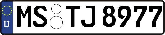 MS-TJ8977