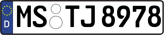 MS-TJ8978