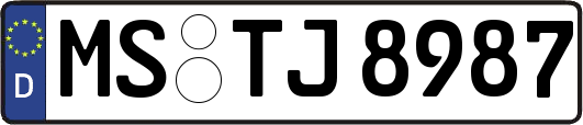 MS-TJ8987